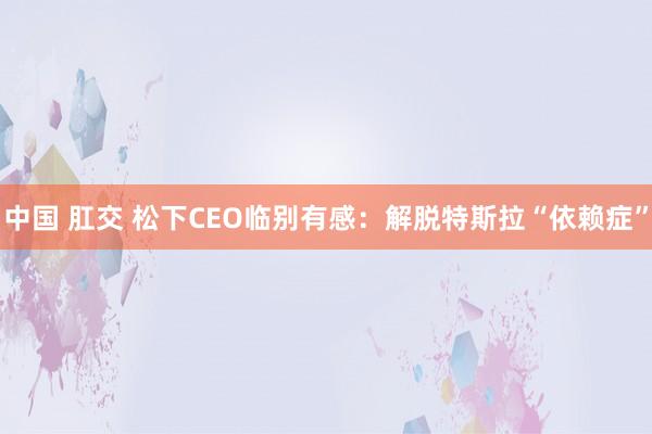 中国 肛交 松下CEO临别有感：解脱特斯拉“依赖症”