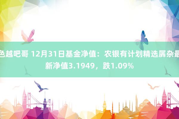 色越吧哥 12月31日基金净值：农银有计划精选羼杂最新净值3.1949，跌1.09%