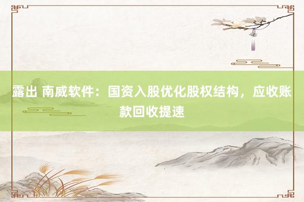 露出 南威软件：国资入股优化股权结构，应收账款回收提速