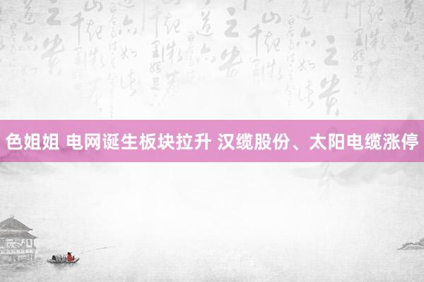 色姐姐 电网诞生板块拉升 汉缆股份、太阳电缆涨停