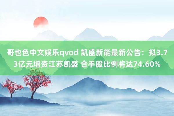 哥也色中文娱乐qvod 凯盛新能最新公告：拟3.73亿元增资江苏凯盛 合手股比例将达74.60%